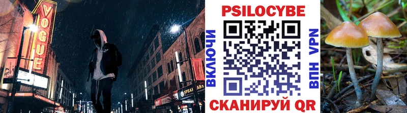 Псилоцибиновые грибы MAGIC MUSHROOMS даркнет наркотические препараты Горбатов